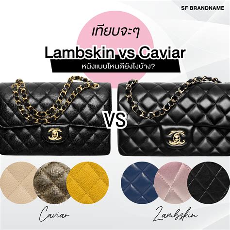 Chanel Caviar vs Lambskin Leather: Wh.